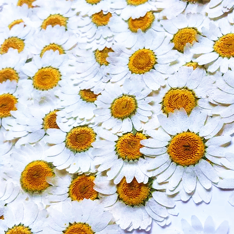 100 Peças de Cristal Branco Na - Resin Art Phone Case avaliação e preço